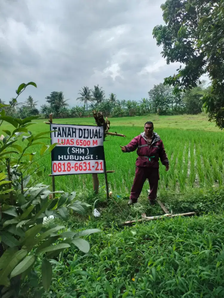 Di jual murah tanah datar depan jalan raya Cianjur dekat kota Cianjur