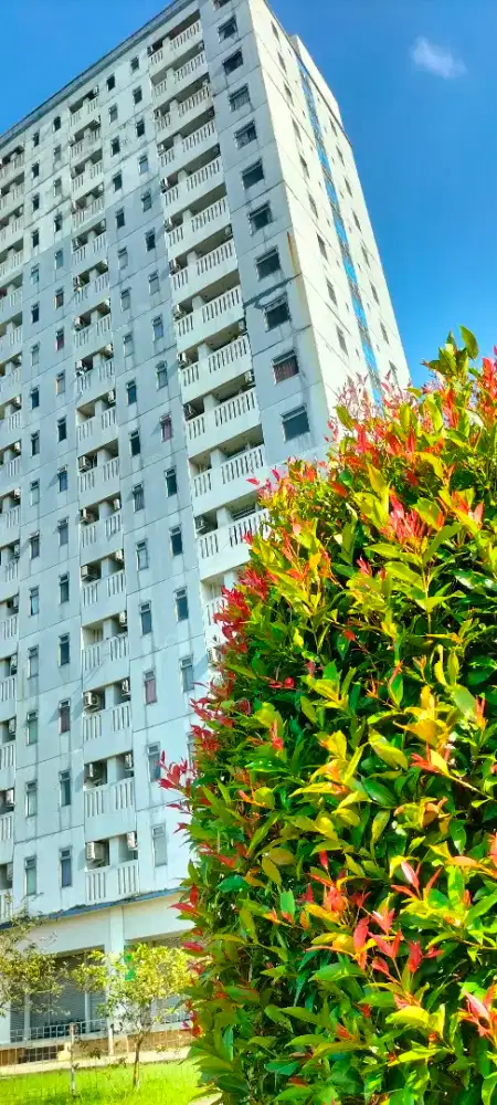 JUAL BU APARTEMEN DEPAN IPB DRAMAGA NEGO SAMPAI DEAL