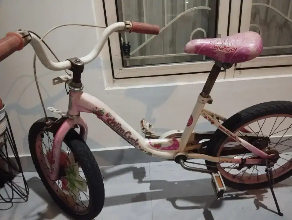 Sepeda anak wimcycle strawbery