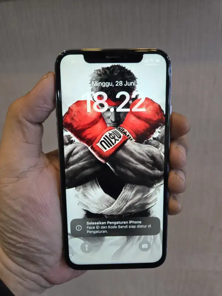 iPhone X 64Gb ex inter LL/A UNIT ONLY