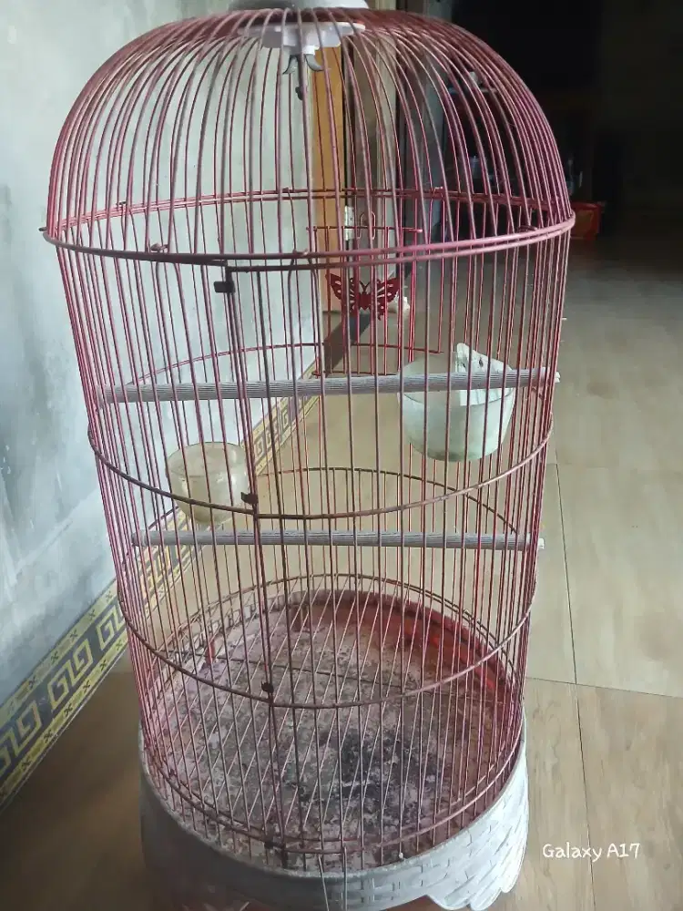 Kandang burung kondisi bagus