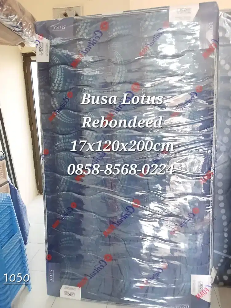 Lotus Busa Central 90x200cm Kasur