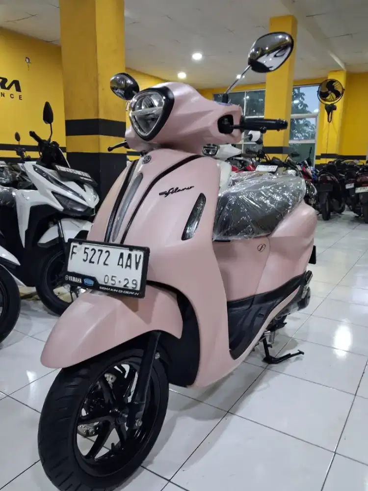NIH BOS GRAND FILANO 2024