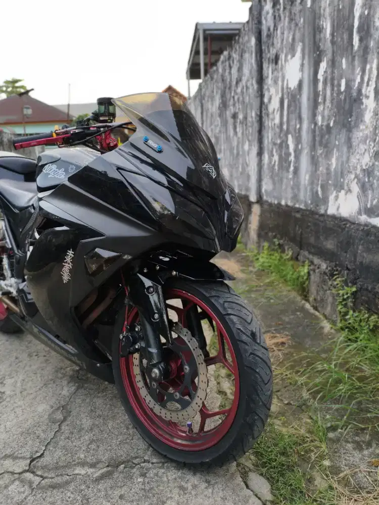 Kawasaki ninja fi 250