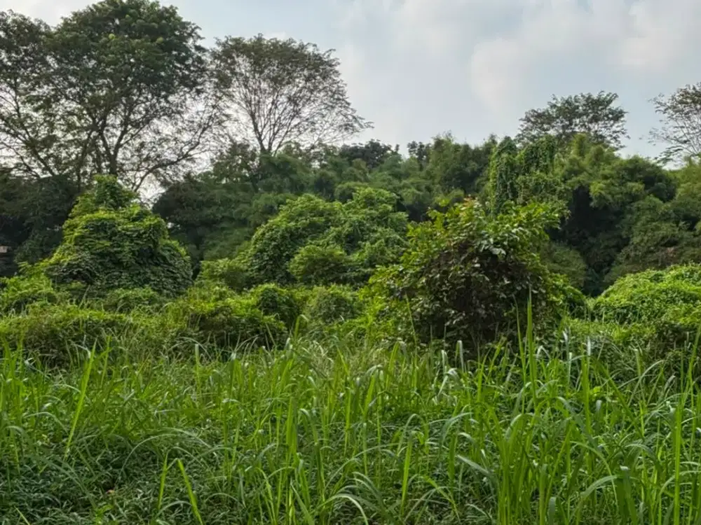 Dijual CEPAT Bisa Disewakan Juga ya  kav di Modernland  Lokasi bagus