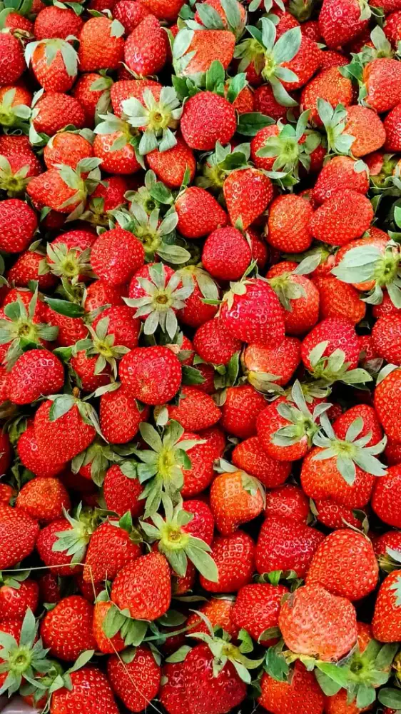 Buah Strawberry