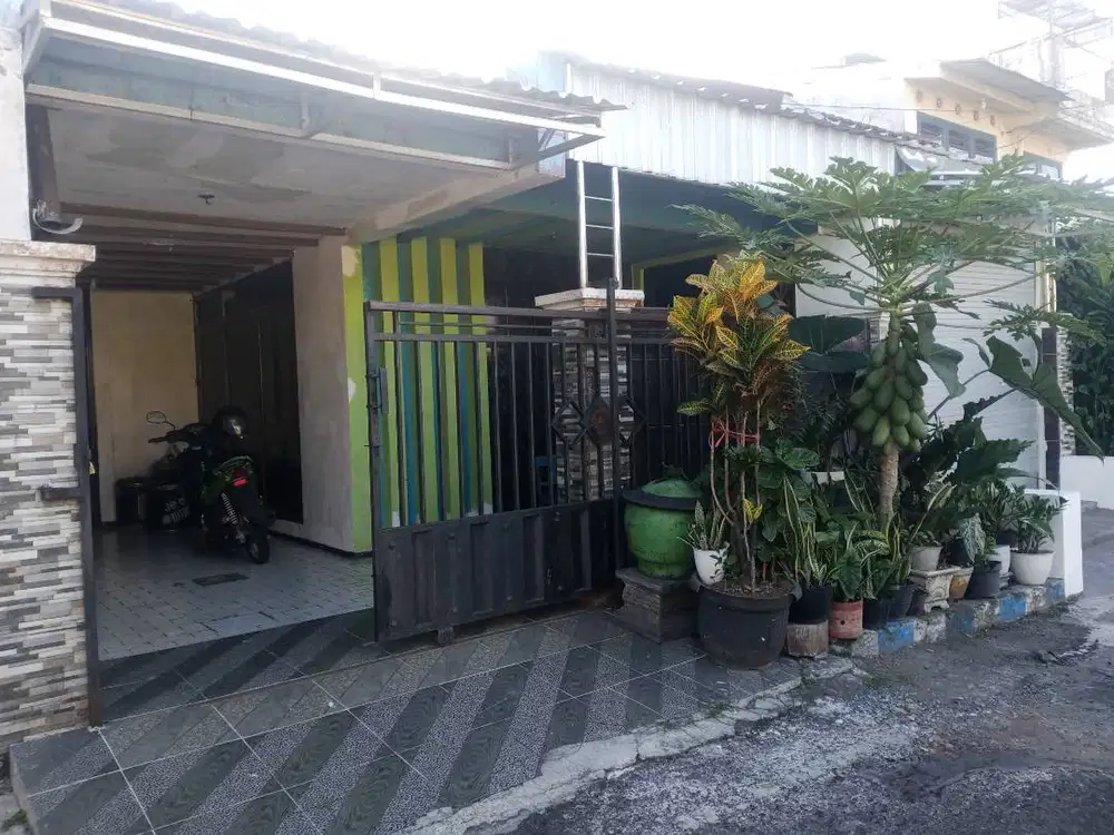 Dijual cepat rumah di jalan ikan nila 20