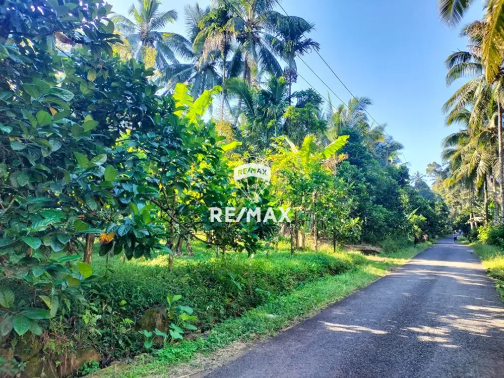 Tanah kebun berlokasi di kampunganyar Glagah Banyuwangi