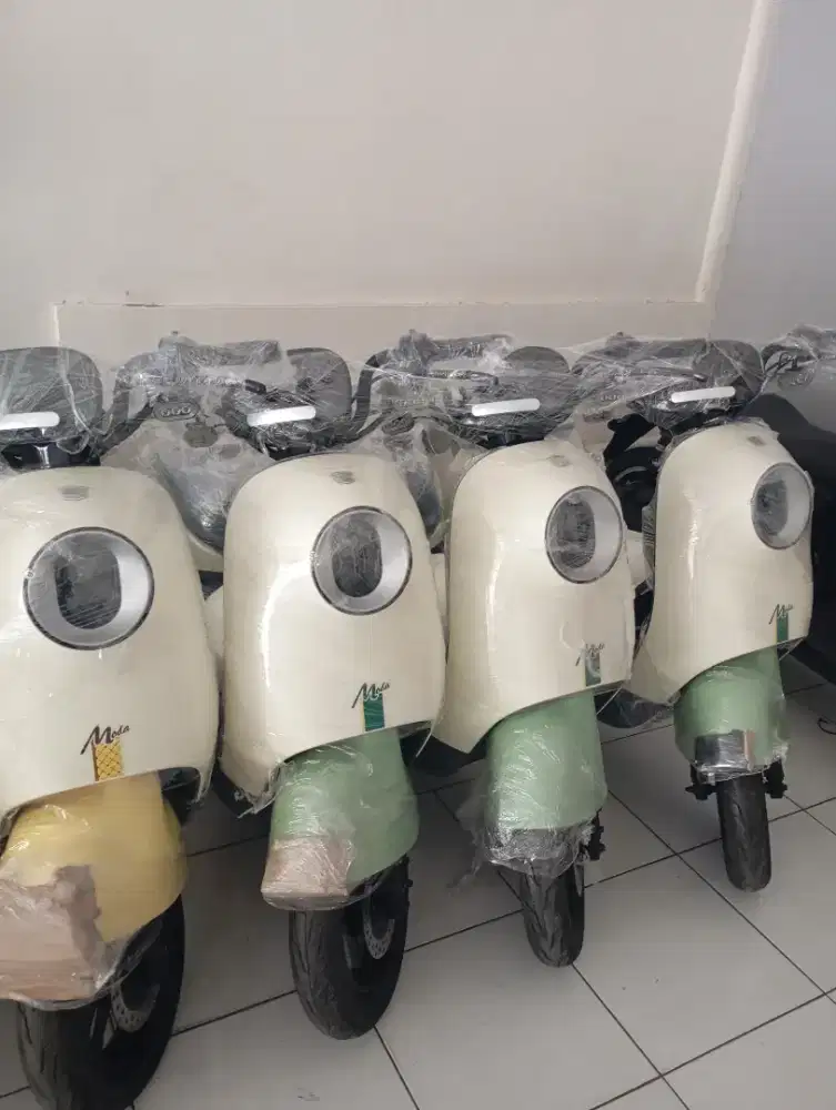 Sepeda listrik merk luyuan moda
