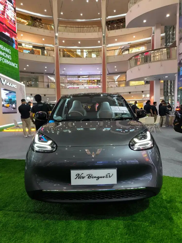 Bingou EV Pro 2026