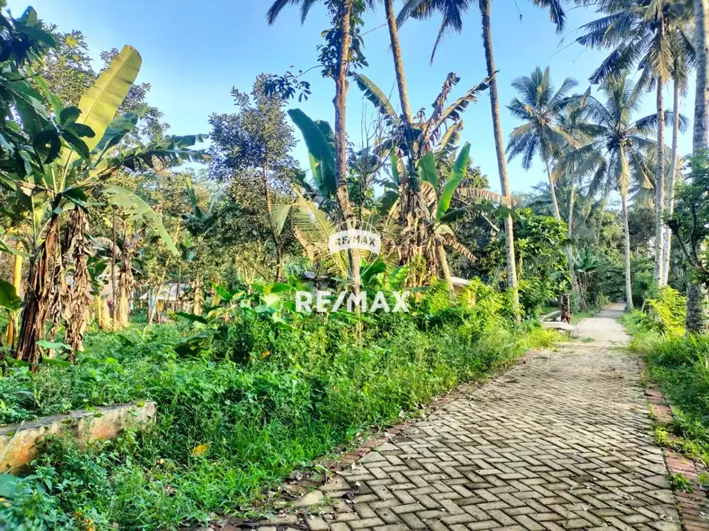 Tanah Kebun Desa kampunganyar Glagah Banyuwangi