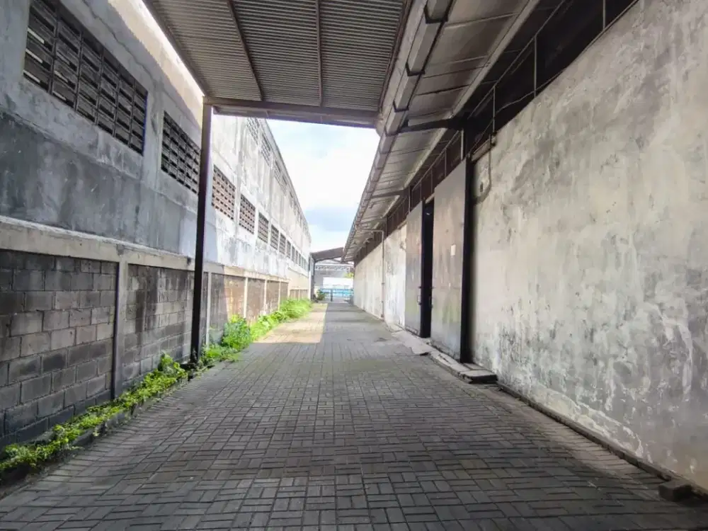 Dijual Gudang Elang Laut Jakarta Utara | Lokasi Strategis Dekat Pelabuhan & Bandara