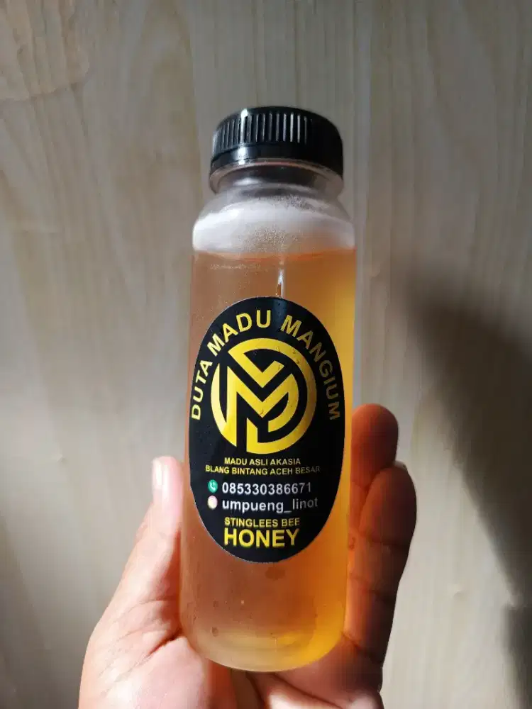 Madu trigona( linot )