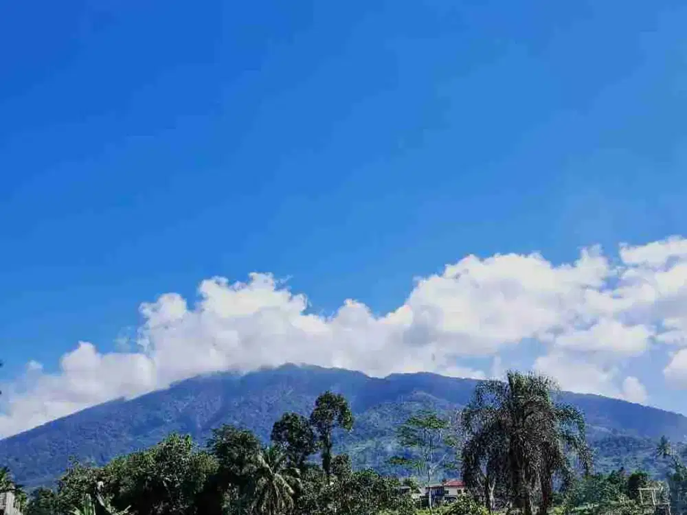 Tanah Murah Bogor Selatan