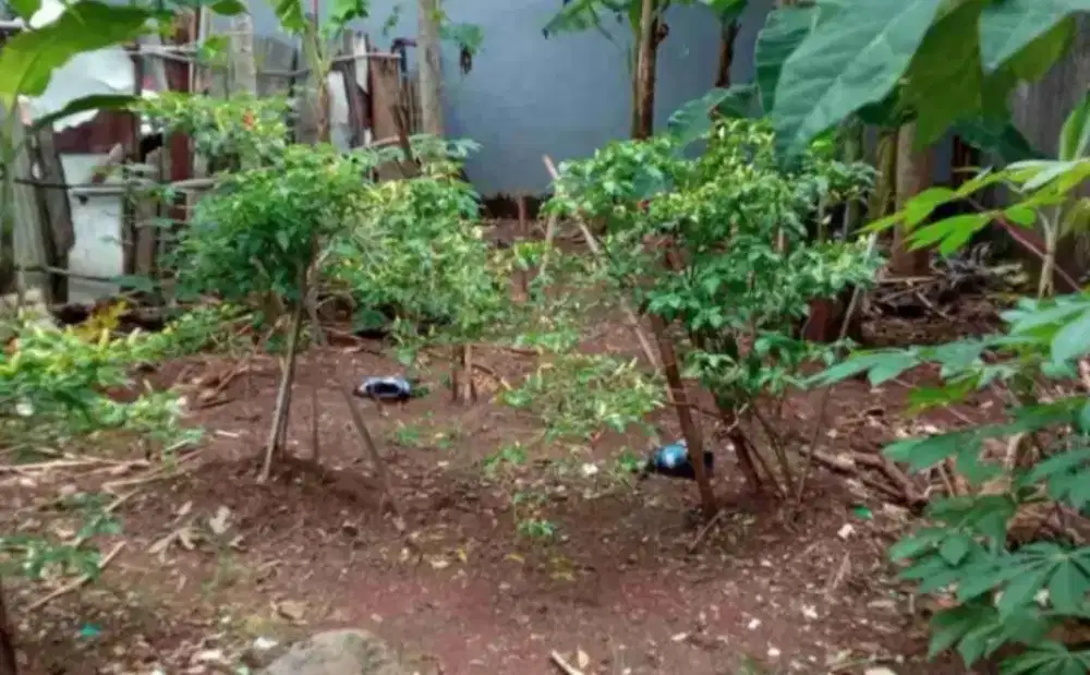 Tanah dijual dijatimakmur bekasi 183 m