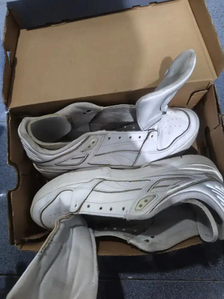 Puma slipstream