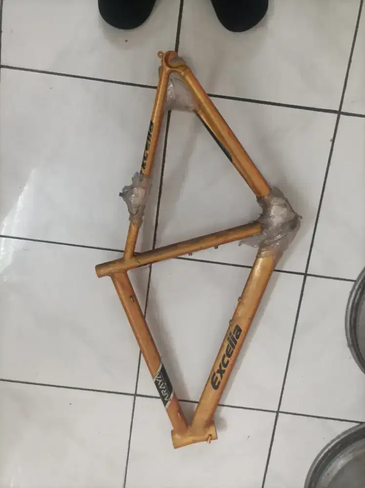 Sepeda balap khusus proatlet