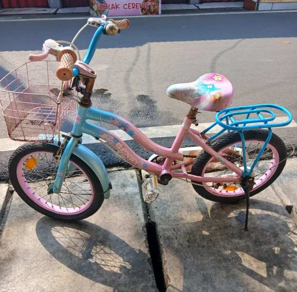 Sepeda Anak Perempuan