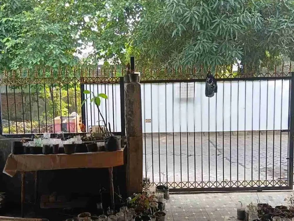 Rumah 1 Lantai Bekasi Regency, Bisa Sewa