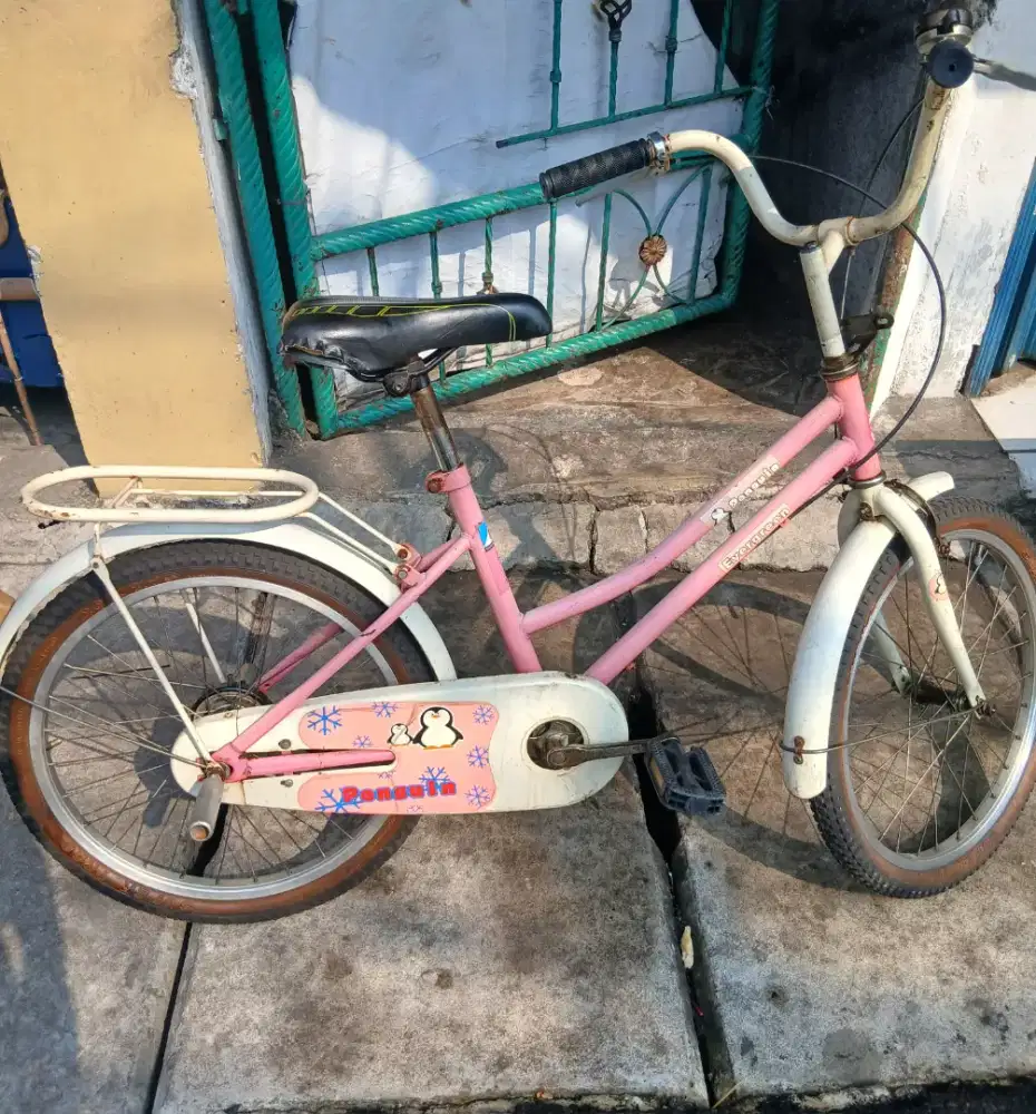 Sepeda Anak Anak