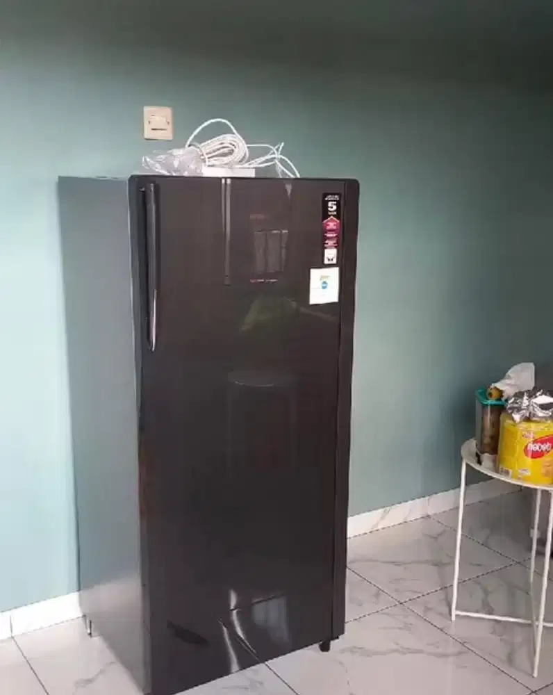 POLYTRON SERI 18 DMY