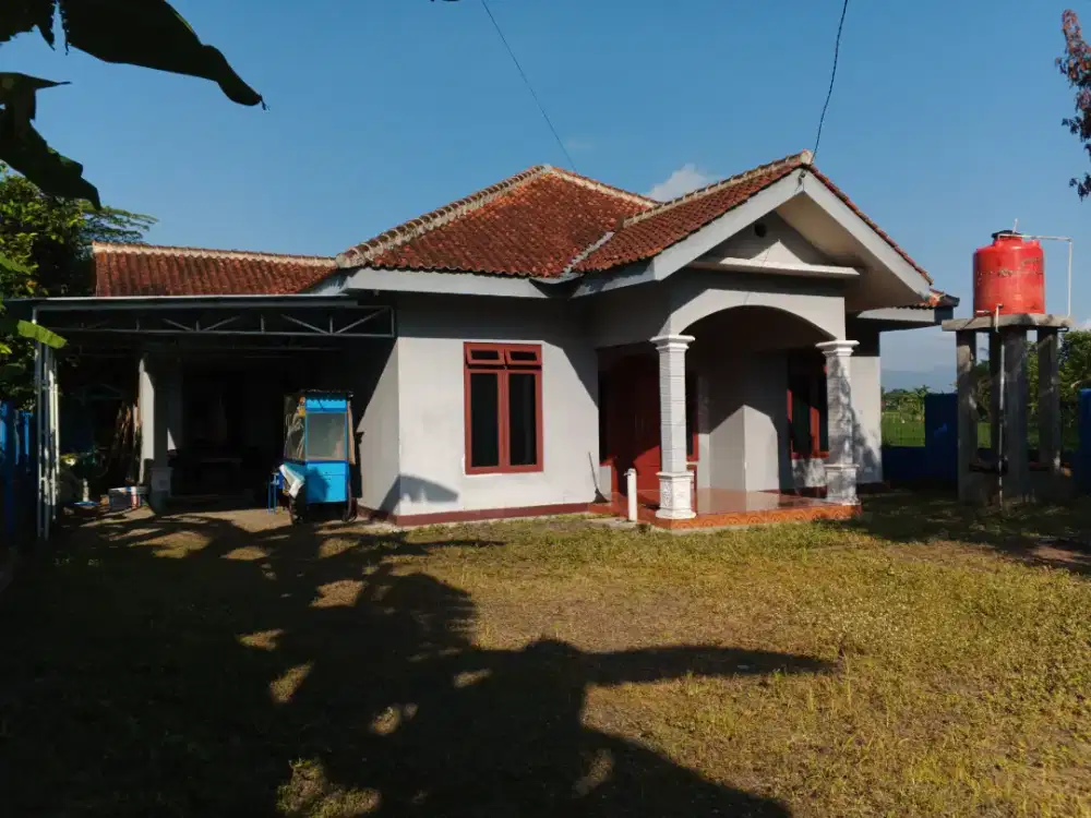 Kost kosan & Penginapan Ekonomi