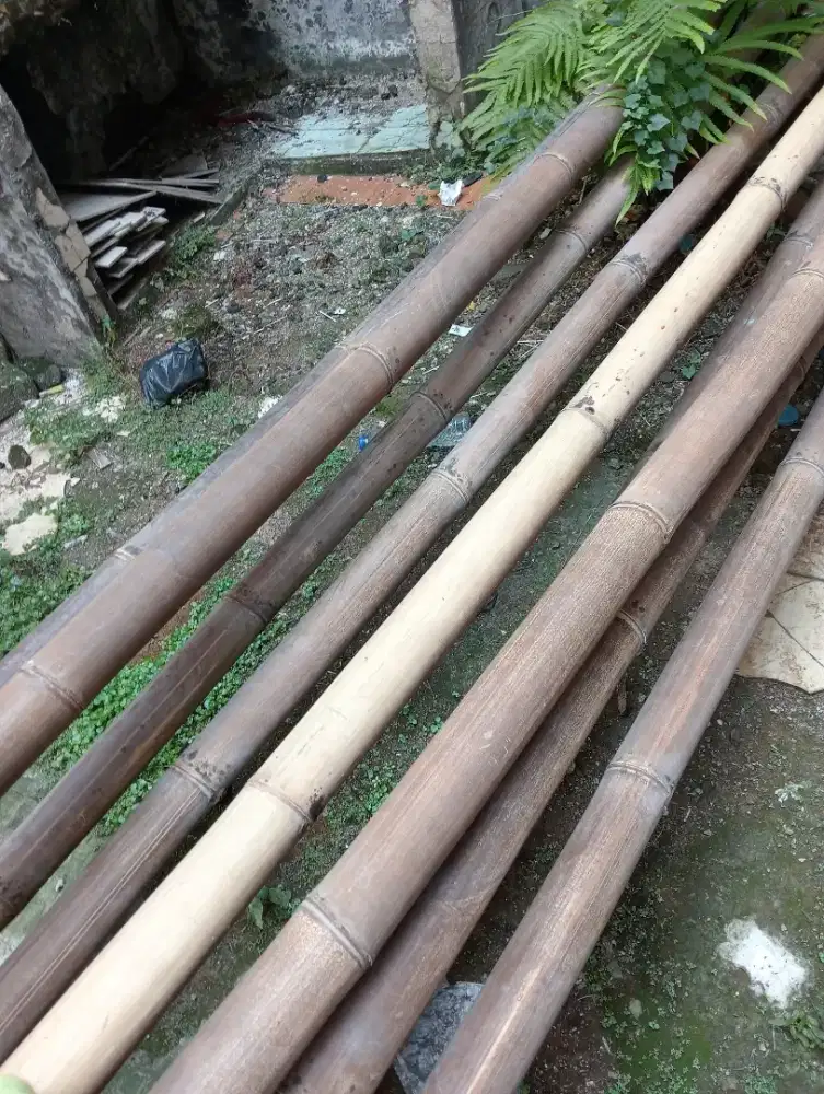Jual 9 bambu bekas masih layak pakai buat kebutuhan bahan bangunan