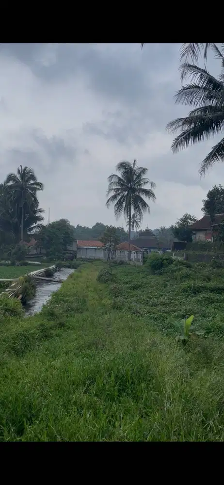 Jual Tanah Dekat Sumber Mata Air Luas 3.000m2