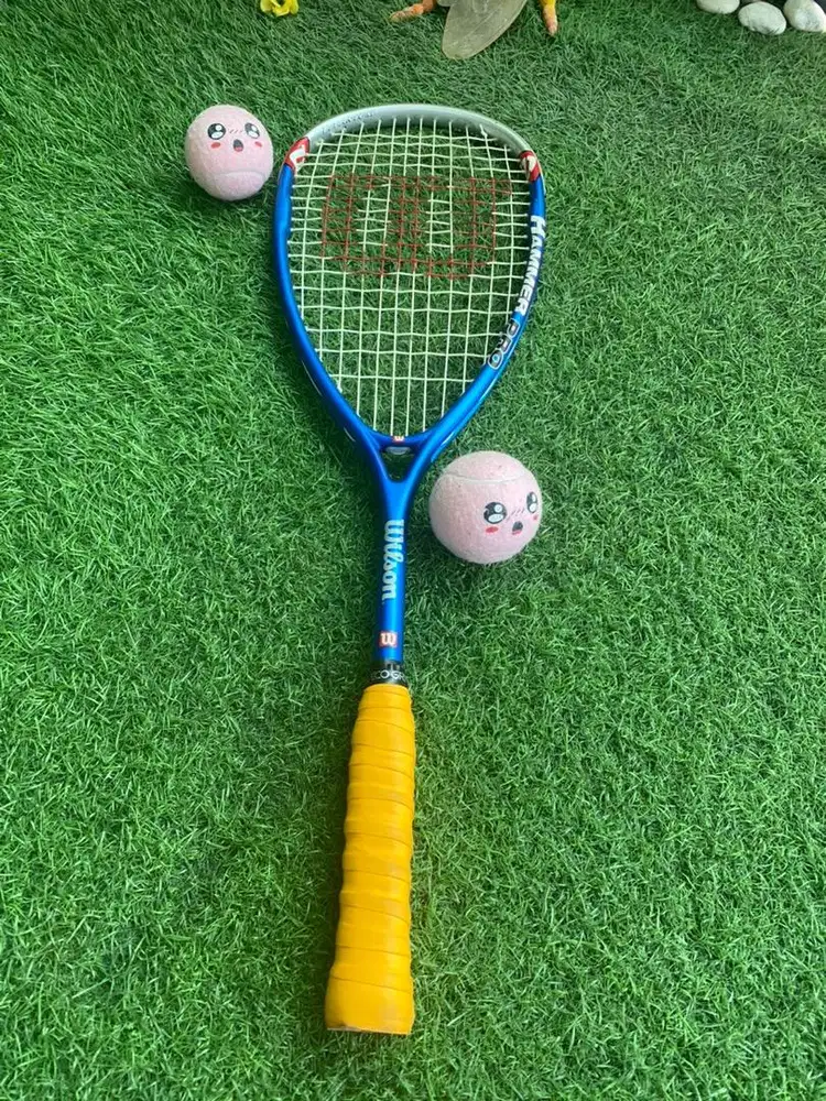 Raket tenis wilson hammer pro titanium