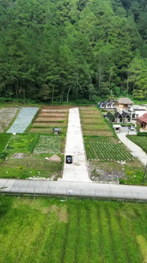 Tanah Kavling Sekipan Tawangmangu Karanganyar