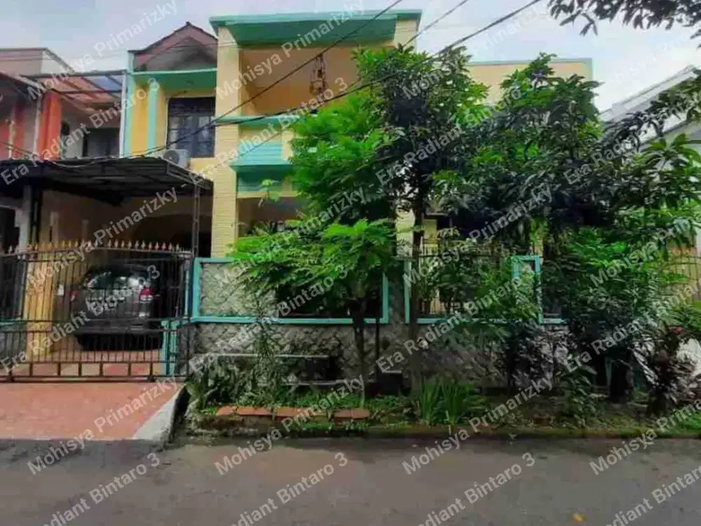 Kucica, Bintaro Sektor 9