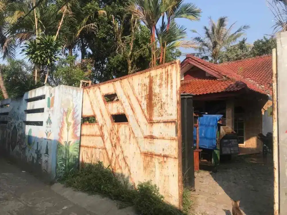 Dijual cepat tanah dan bangunan butuh renovasi hitung tanah saja 
Luas tanah 750m 
Luas bangunan 100 
Lokasi d jl raya ciawi puncak 
Samping kecamatan ciawi
Belakang SDN ciawi 
Sebrang hotel Buvana 
Samping spbu 
Hanya 100 m ke jl raya utama 
Cocok buat u