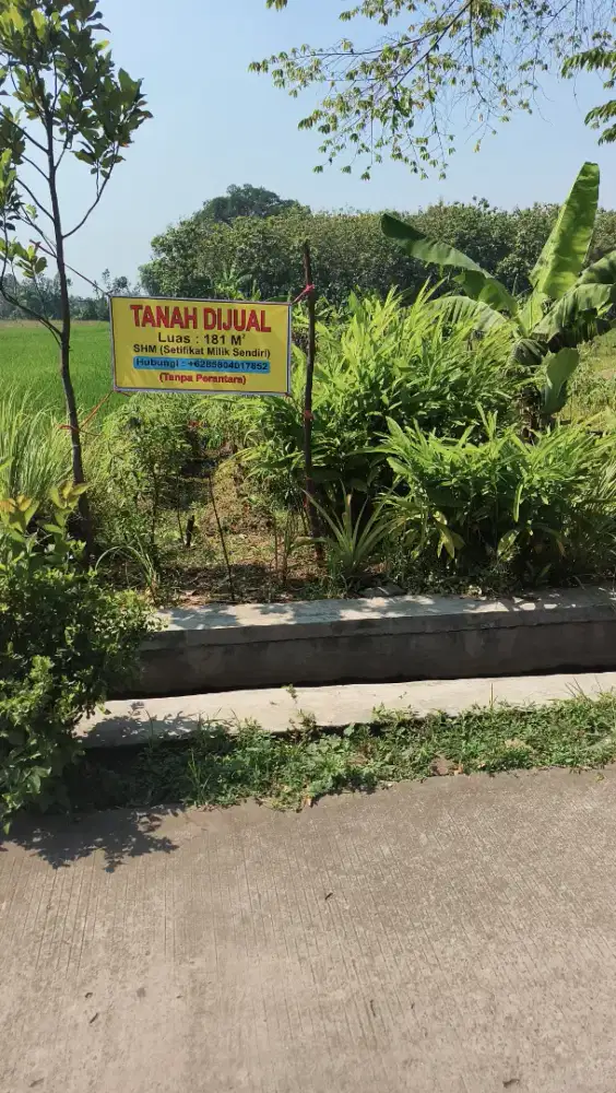 JUAL TANAH MURAH