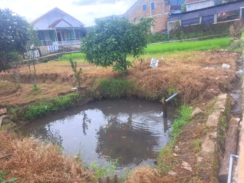 JUAL TANAH DAN KOLAM IKAN AKSES MOBIL AREA CIMAUNG