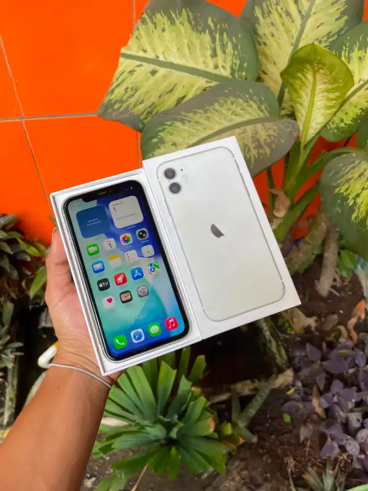iPhone 11 64 GB