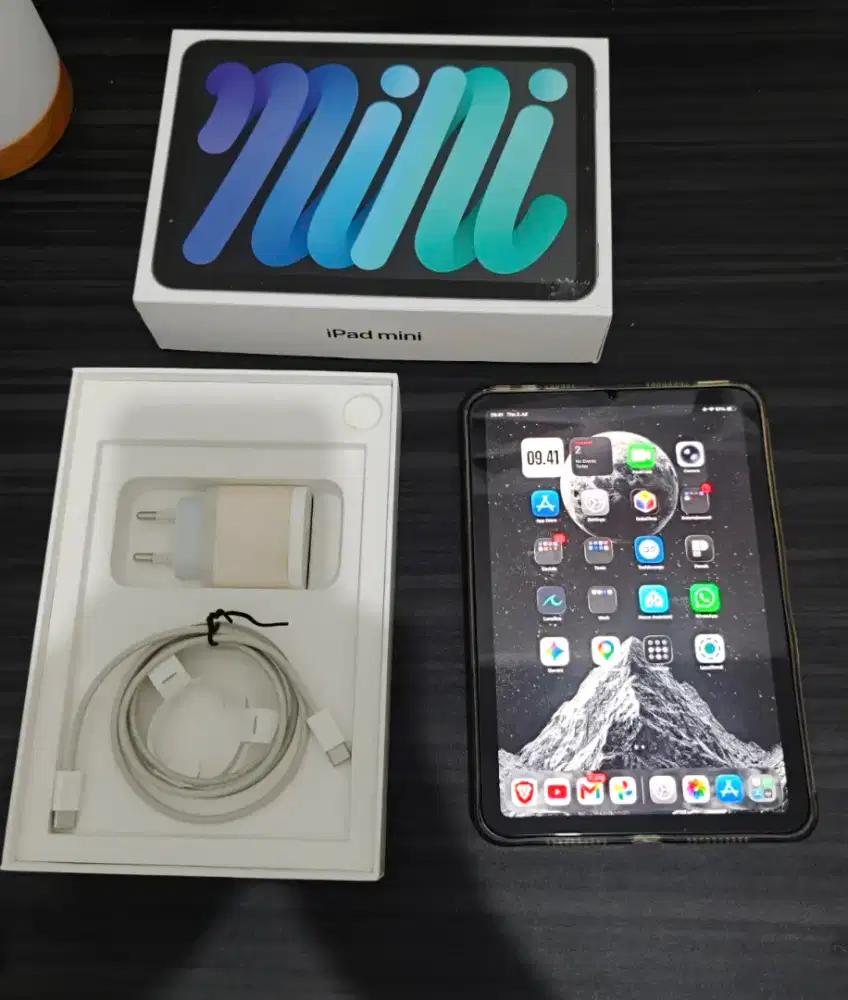 Ipad Mini 6 256GB Cellular