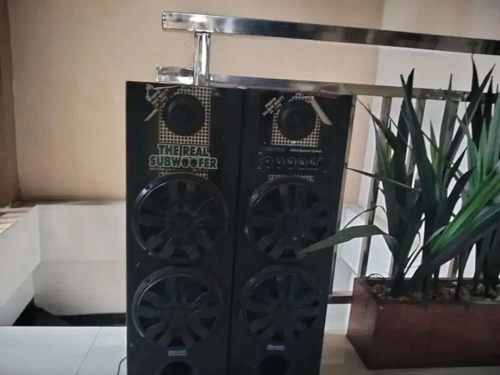 Speaker the real subwoofer