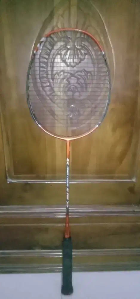 Raket Ashaway power carbon 3100