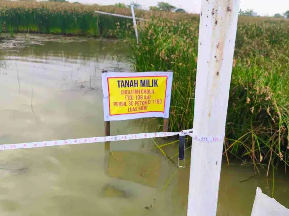 Jual Tanah Kavling Tambak Oso Belum siap Bangun