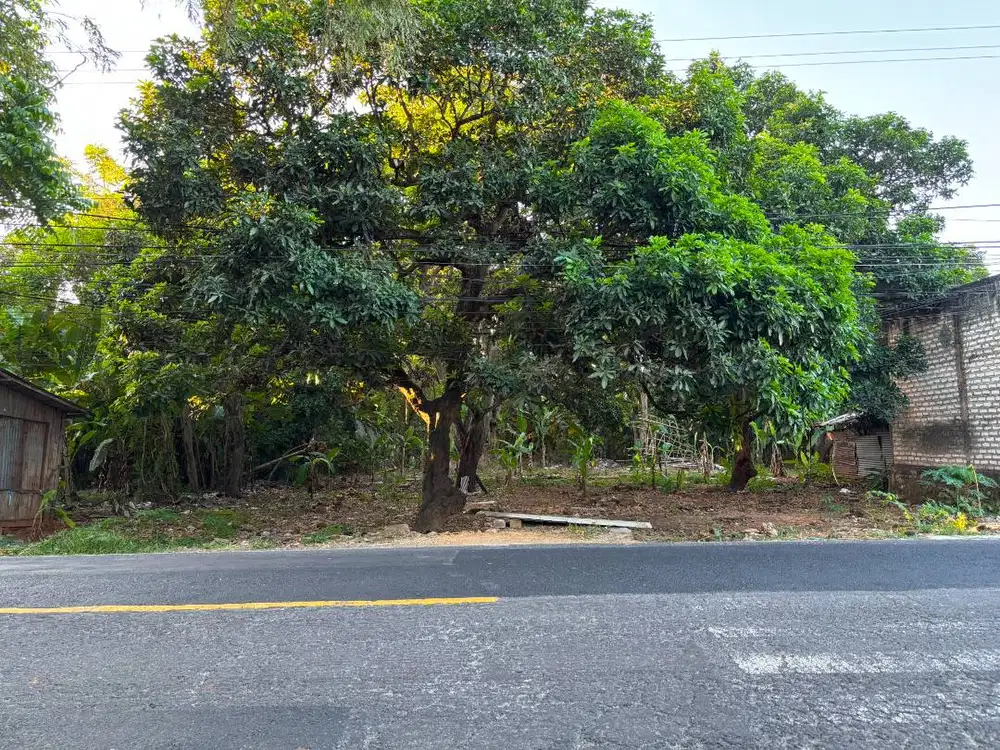 Tanah komersial 900 m² - jalan provinsi, larangan, pamekasan