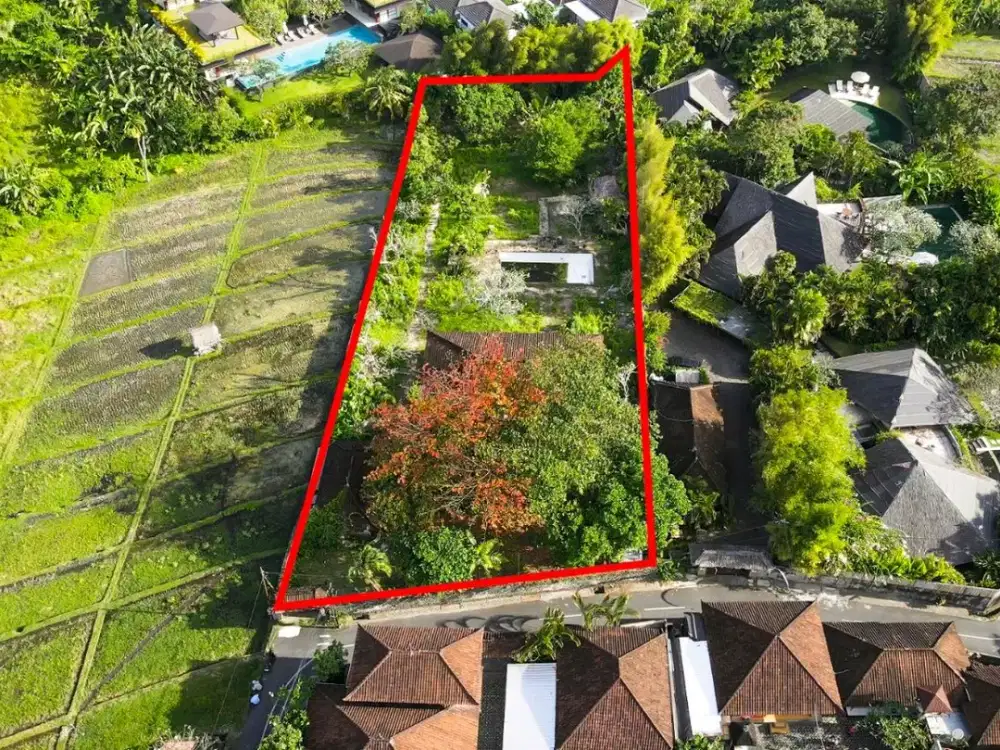 Dijual Tanah Murah View Sawah Umalas Kuwum Kerobokan dekat Canggu dan Seminyak