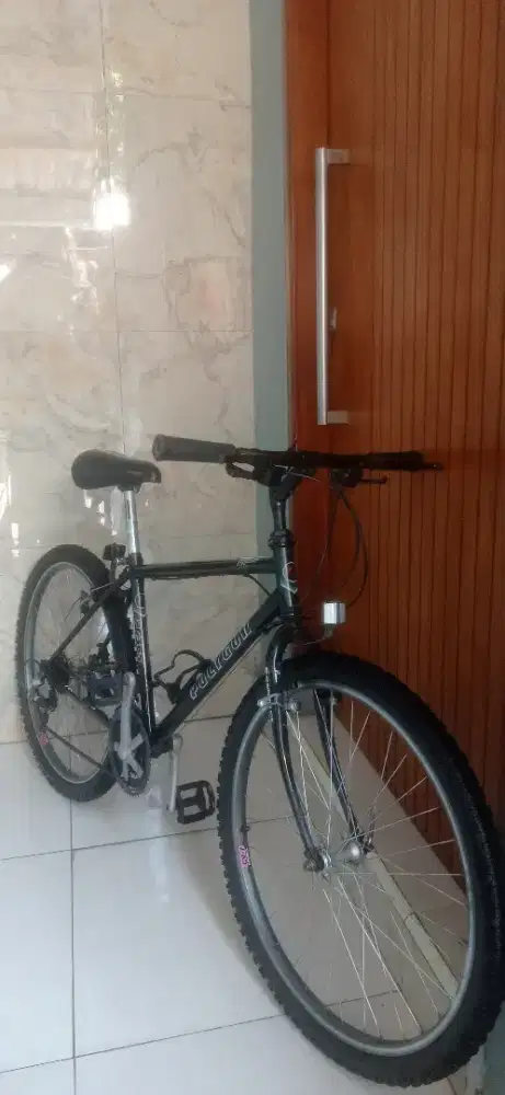 Sepeda commuter polygon Alpina kalcer