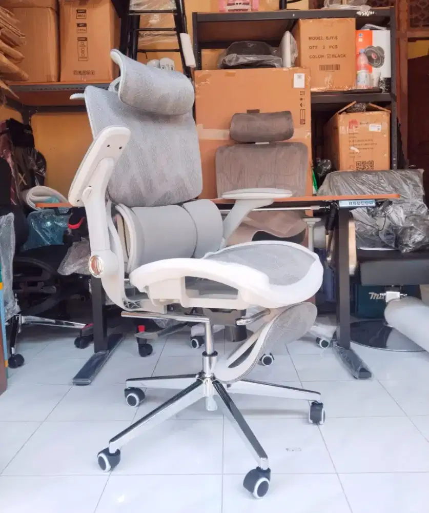 Ergonomic office chair+Standing desk 140x60cm