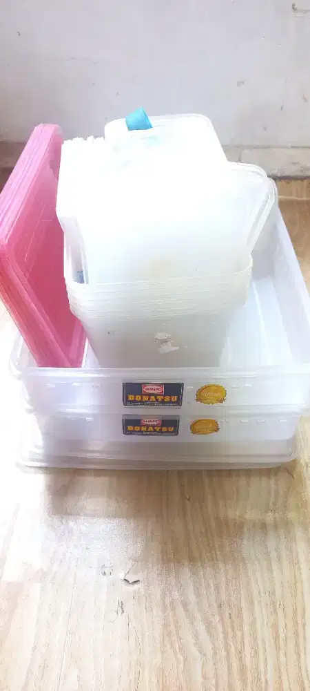 Wadah leopard gecko bawa semua