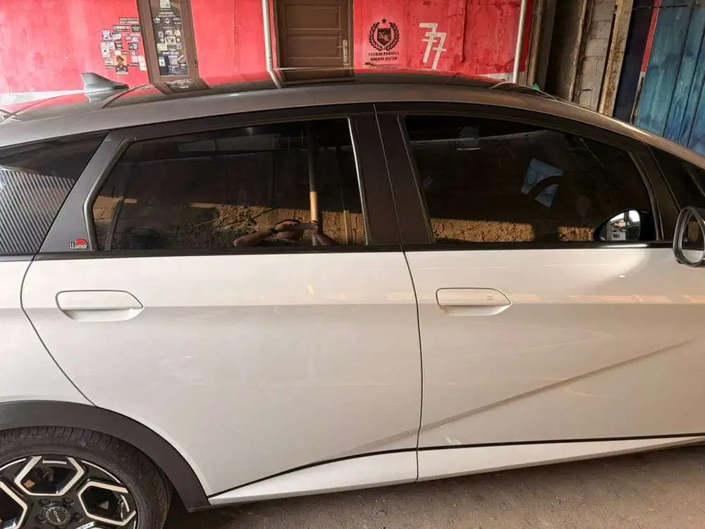 BYD Dolphin 2024 Listrik