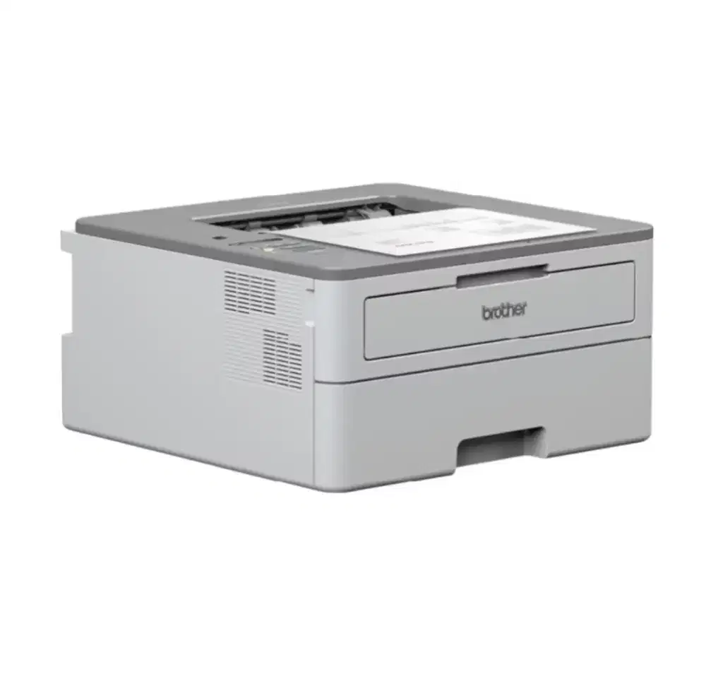 Printer brother HL B2080DW