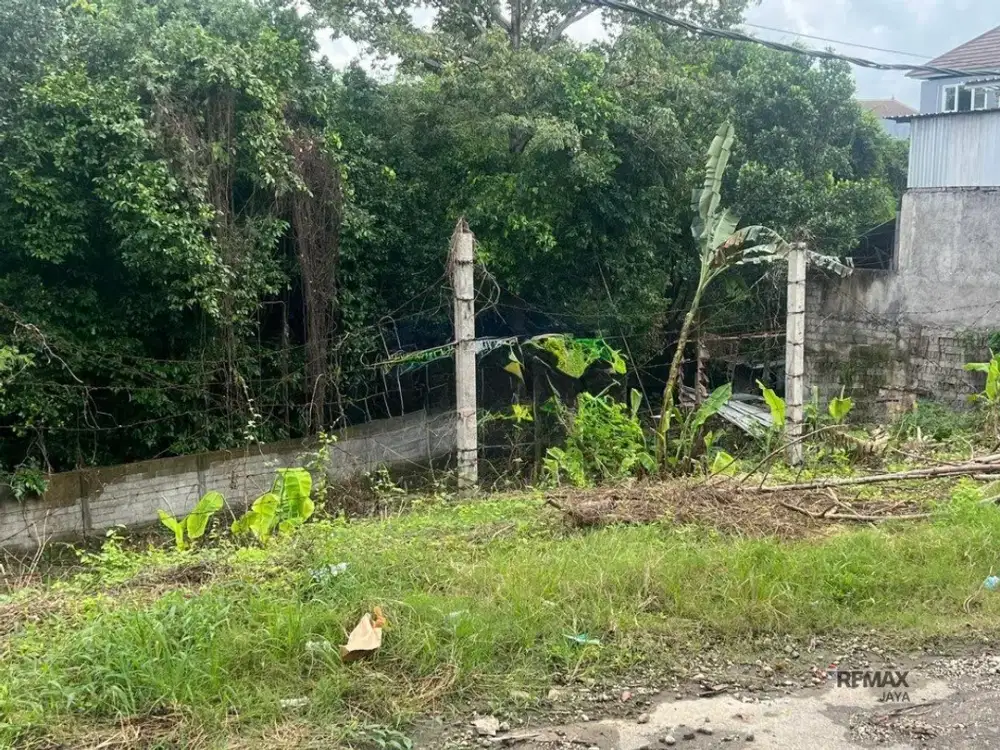 Tanah Premium 5,6 Are Dijual di Gunung Catur, Denpasar Barat