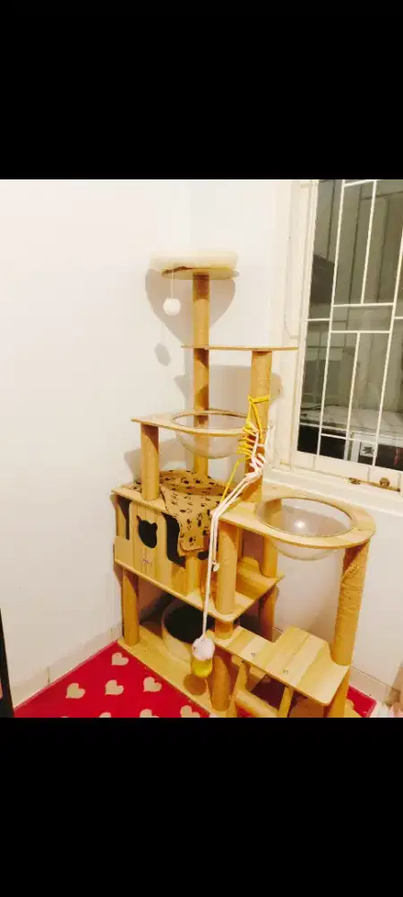 Pet menara kucing