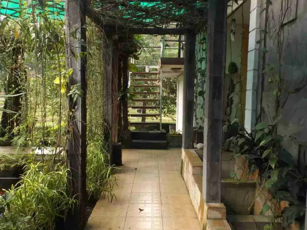 Villa & Ruko di Jl Koesbiyono, Pakintelan Gunungpati dekat Ariston Bellevue
