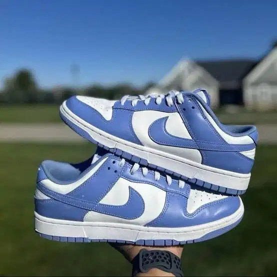 Nike low dunk polar blue